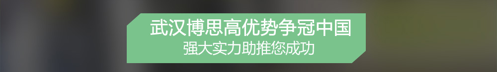 武汉交通设施公司